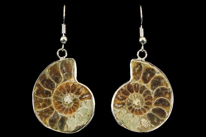 Fossil Ammonite Earrings - Million Years Old #142863